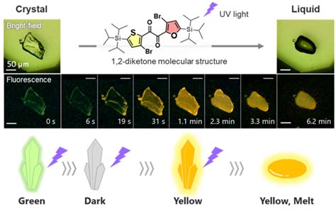 Fig 1 [image] Eurekalert Science News Releases