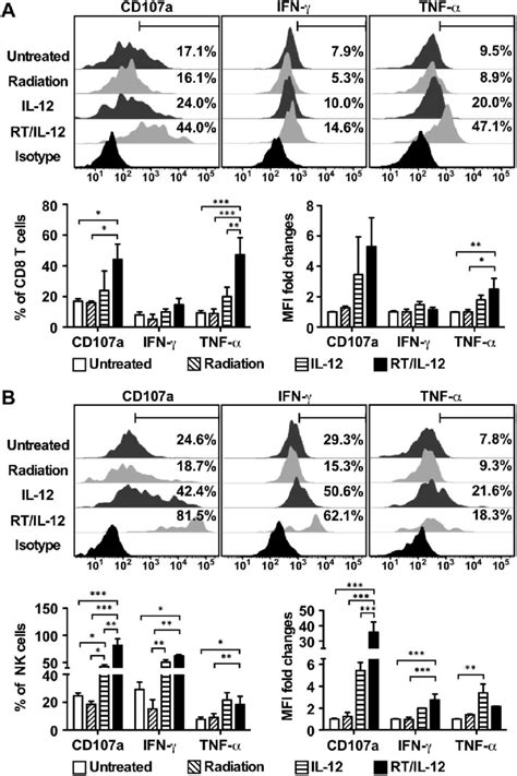 Combination Of Radiation And Il 12 Significantly Increased Cd107a Download Scientific Diagram