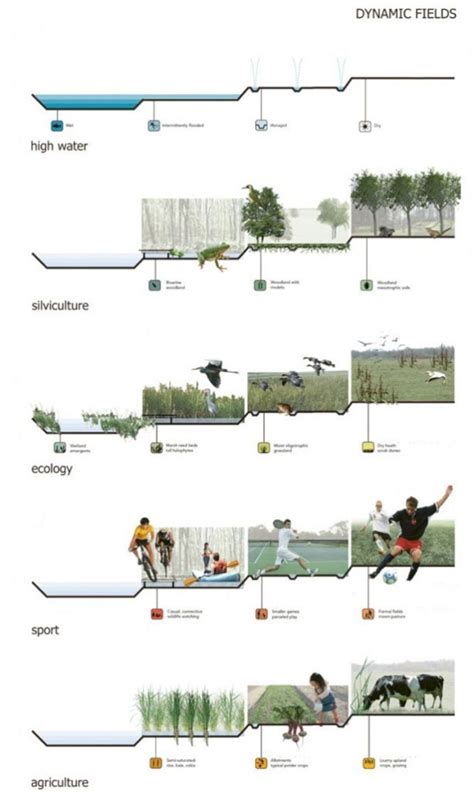 The Best Landscape Plan Drawing Section No 118 In 2020 Landscape