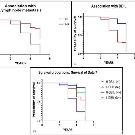 Kaplan Meier Curves For Dbil And Cervical Lymph Node Metastasis N