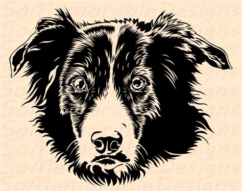 Border Collie Svg Border Collie Svg File For Cricut Border Collie