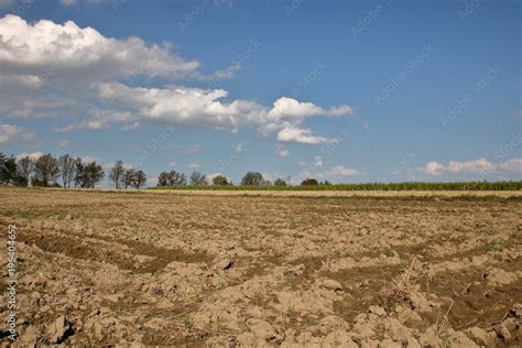 Zaorane pole w tle linia drzew i traw błękitne niebo z malowniczymi