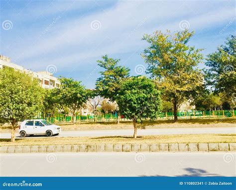 Beautiful Of Road With Greenery Stock Image Image Of Greenery Beauty