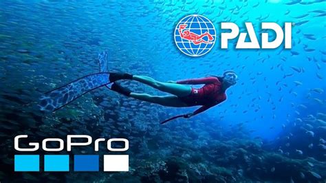 Gopro Padi Dive Competition Announce Gopro Times