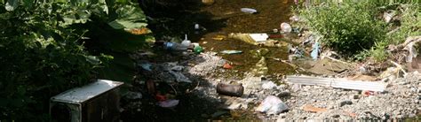 River Pollution - Signs of Pollution | Young People's Trust For the ...