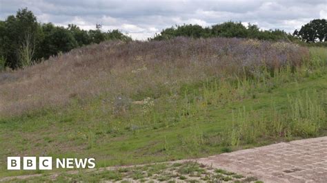 Earley Reservoir Gets Teletubby Hill Bbc News