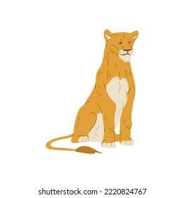 Lioness Sitting Flat Vector Illustration Isolated Stock Vector Royalty