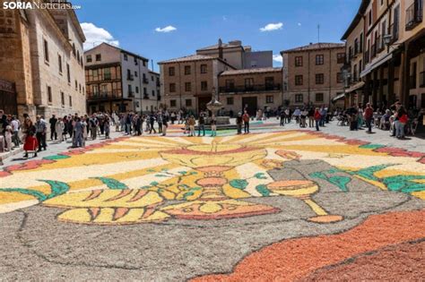 Así se hacen las alfombras del Corpus Christi de El Burgo de Osma