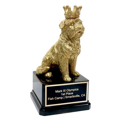 Golden Dog Award Far Out Awards