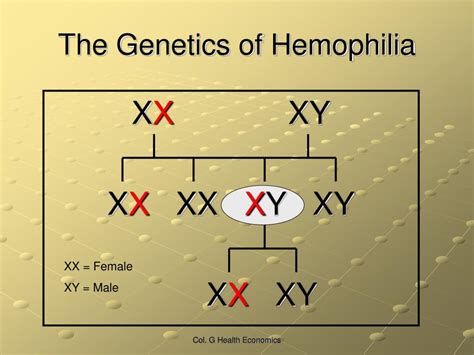 Ppt Hemophilia Powerpoint Presentation Free Download Id 6779419