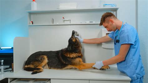 Jobs For Sex Offenders Who Want To Start A New Life Salarship