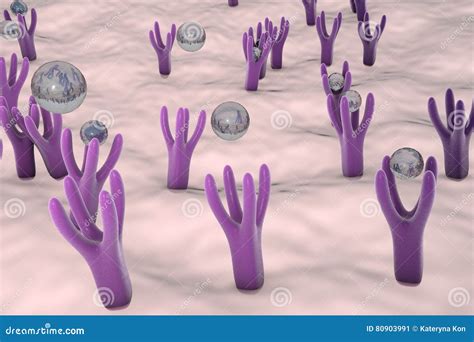 Cellular Membrane With Receptors Royalty-Free Stock Photography ...