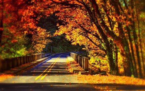 Wallpaper 1920x1200 Px Bridge Fall Road 1920x1200 Wallhaven 1229490 Hd Wallpapers