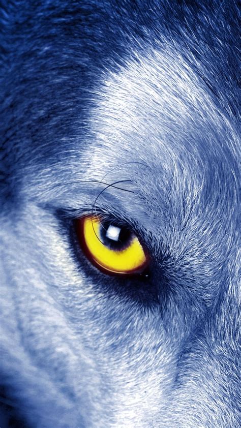 Wolf Smartphone Eye Wallpapers - Wallpaper Cave