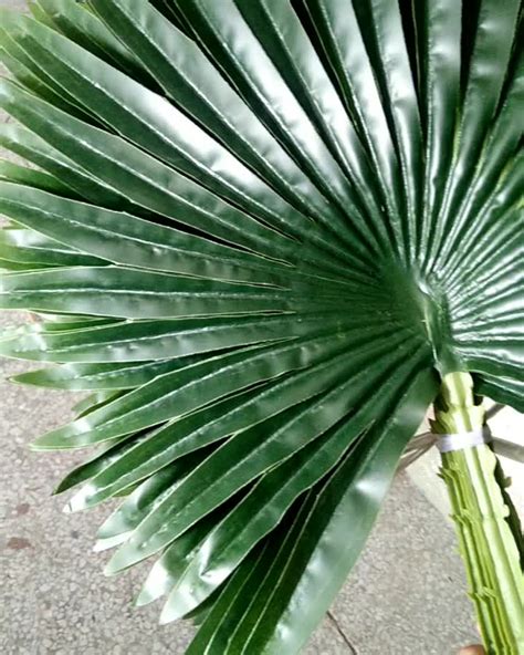 Palm Frond Wholesale Outdoor Indoor Decorative Large Plastic Artificial