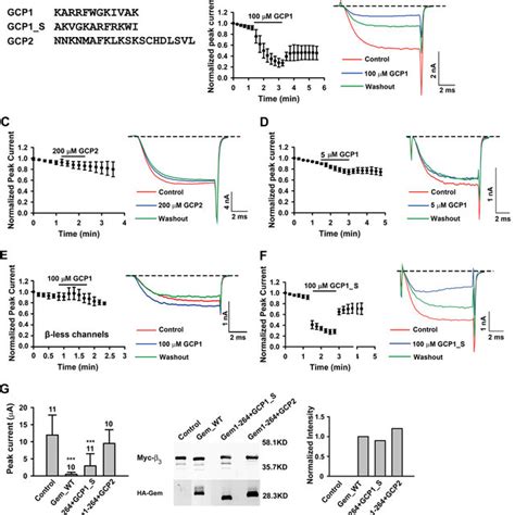 Mapping Regions Of Gem Critical For The Inhibition Of Pq Type Ca 2 Download Scientific Diagram