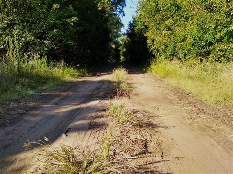 Hay Que Arreglar Los Caminos Rurales La Trocha Estaci N De Noticias