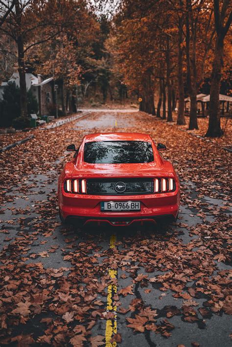 Ford Mustang Ford Car Sports Car Red Road Autumn Hd Phone