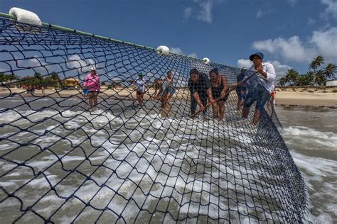 Dia Mundial da Pesca atividade é fonte de alimento e renda para