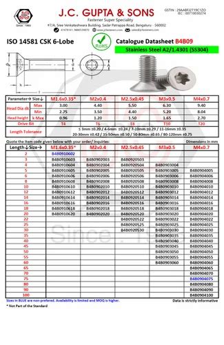 SP Countersunk MC Screws CSK TORX Tx SS 304 ISO 14581 Material Grade