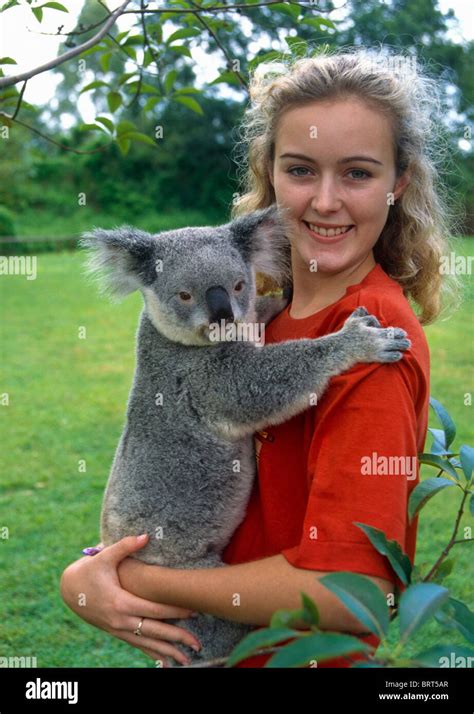 Girl Holding A Koala Bear Queensland Australia Stock Photo