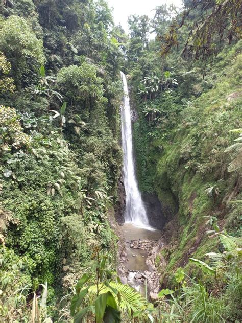 Curug Cantel Review Sejarah Mitos Serta Keindahan Alam Bumijawa Tegal