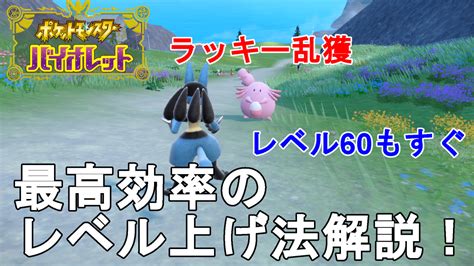 【ポケモンsv】最高効率のレベル上げ方法解説！ラッキー乱獲！pocket Monster Violet Leveling Up【ポケット