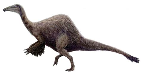 The 15 Most Bizarre Dinosaurs That Ever Existed