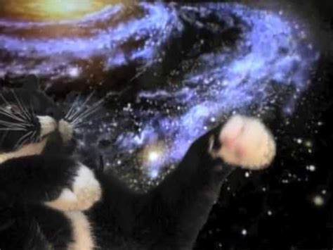 I Ek Space Cat Cats Know Your Meme