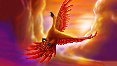 Phoenix Bird Wallpapers - Top Free Phoenix Bird Backgrounds ...