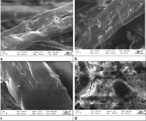 Sem Micrographs Of A Raw Pulp B 100 Mesh Pulp C Enzyme Treated