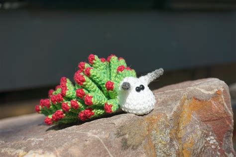 Costasiella Nudibranch Leaf Sheep Sea Slug Crochet Pattern Etsy