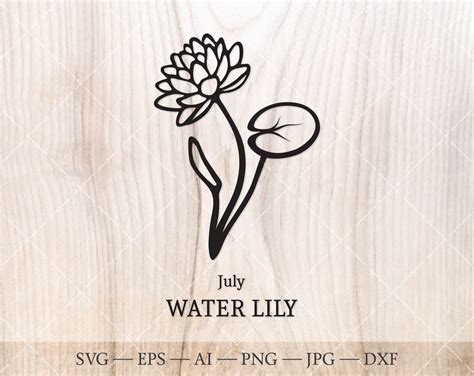 Water Lily Svg July Birth Flower Svg Birth Month Flower Water Lily