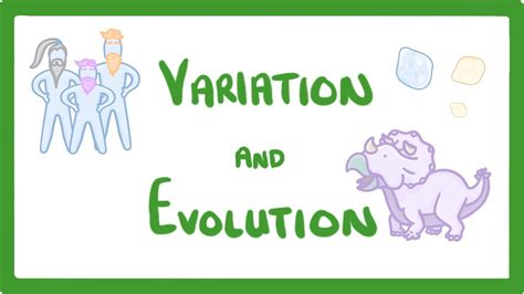 GCSE Biology Variation And Evolution 68 YouTube