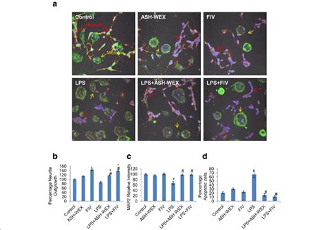 ASH WEX And FIV Also Inhibit Inflammatory Neurodegeneration In