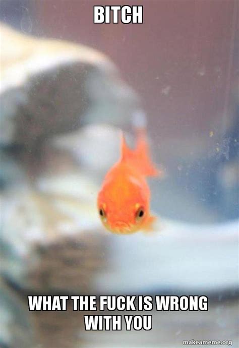 Bitch What The FUCK Is Wrong With You Grumpy Fish Meme Generator