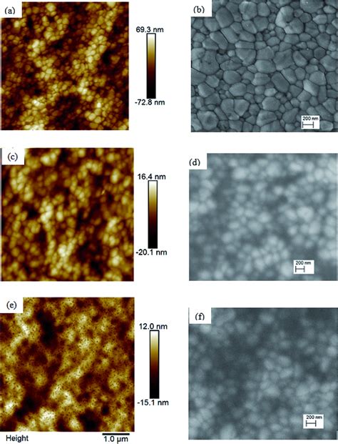 Atomic Force Microscopy AFM Left And Scanning Electron Microscopy