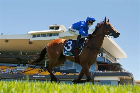 Big Bets Results - Bets.com.au - Big Bets winners, losers and results ...