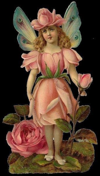 Rose Fairy Rose Fairy Art Beautiful Fairies