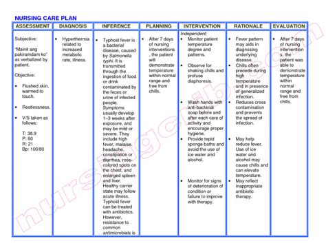 List Of Nanda Nursing Diagnosis Pdf Medicinebtg