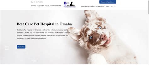 The Best Pet Care Website You'll See Today