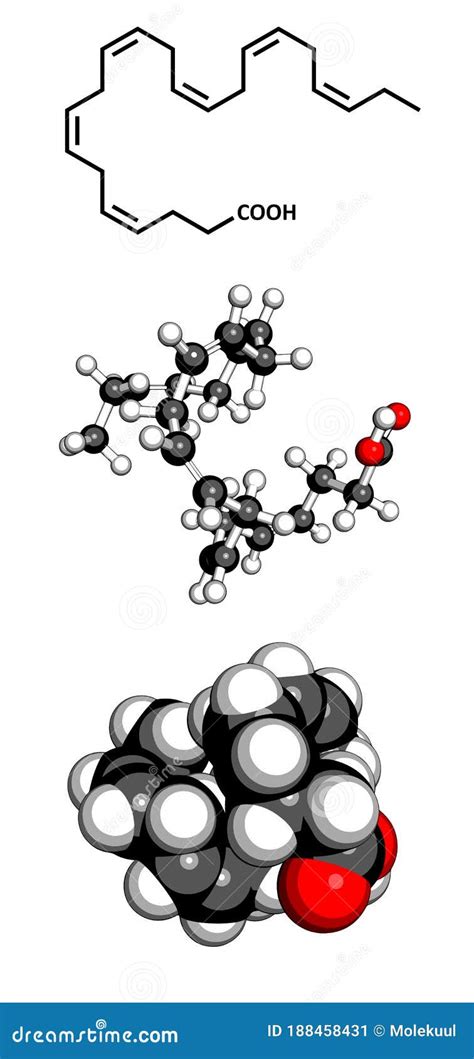 Omega 3 Fatty Acid Docosahexaenoic Acid Molecule Stock Illustration