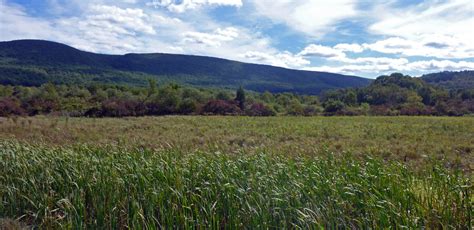 Protecting Cherry Valley National Wildlife Refuge - The Conservation Fund