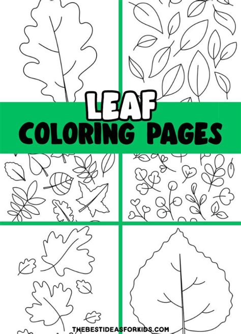 Leaf Coloring Pages