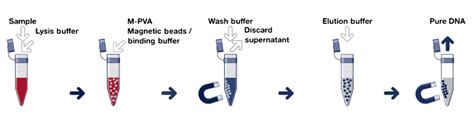 Nucleic Acid Separation Technical Platform Cd Bioparticles