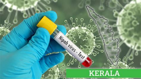 Nipah Virus Outbreak In Kerala Articles