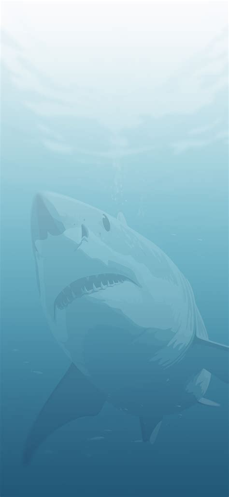 White Shark Blue Wallpapers - Cool Shark Wallpapers for iPhone