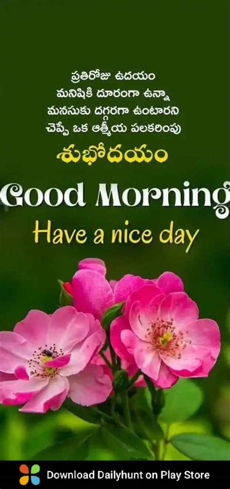 🌅శుభోదయం Images • Nadiu Nadiu5116 On Sharechat