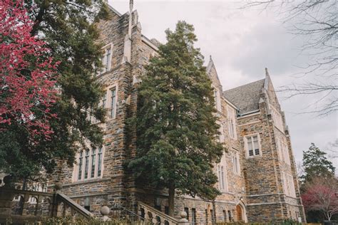 Duke To Establish Center For Gender Violence Prevention And