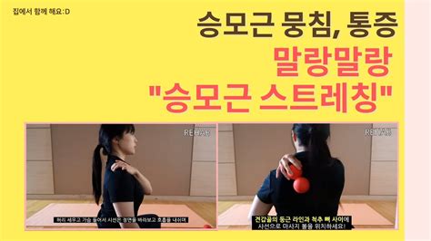 승모근 통증 목 뻐근함 승모근 어깨 통증에 효과적인 승모근 스트레칭 Youtube